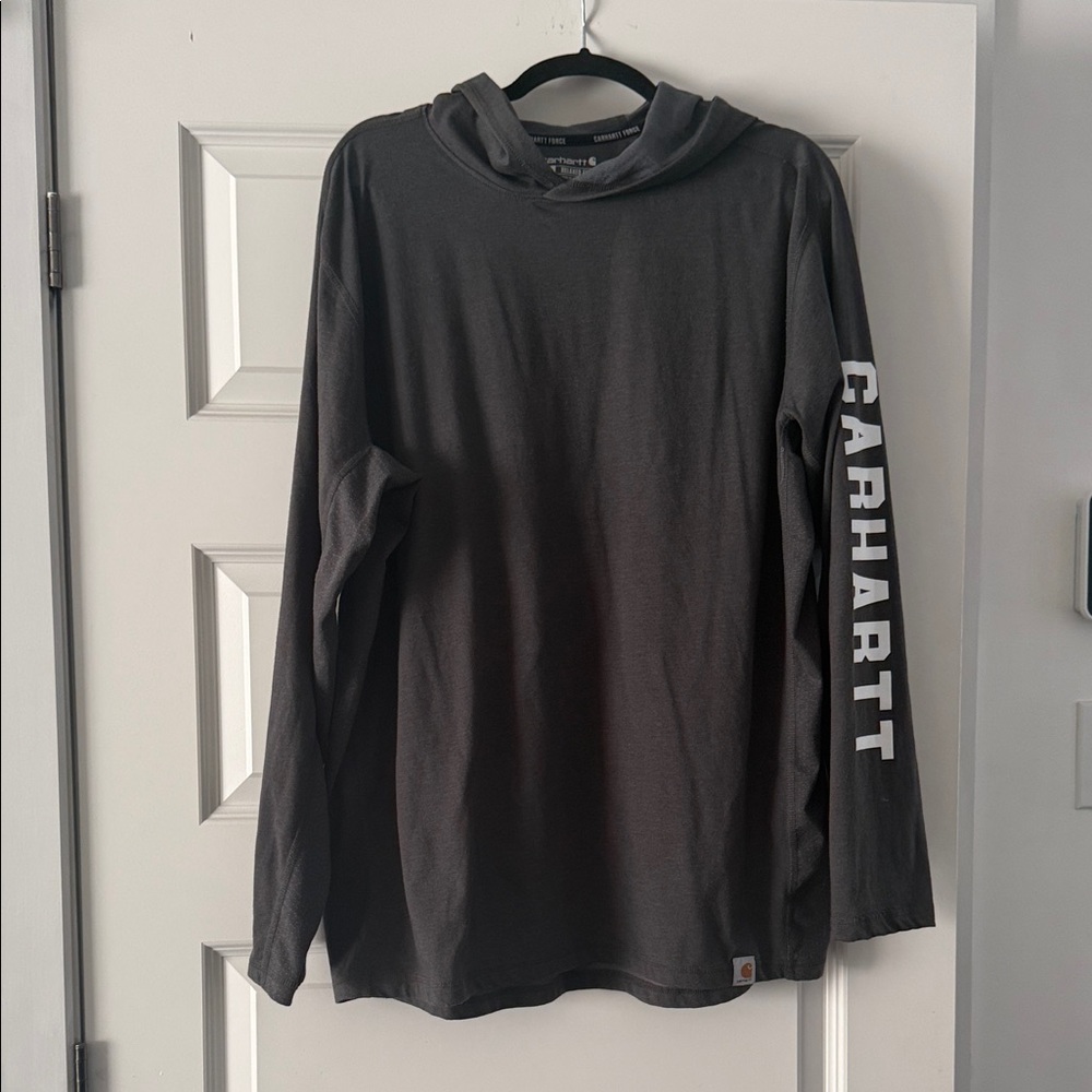 Carhartt Men's Hoodie with Logo Sleeve